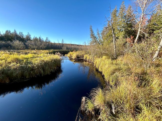 333-ACRES - ON Double Bend Rd, House other with 2 bedrooms, 1 bathrooms and null parking in Argonne WI | Image 34