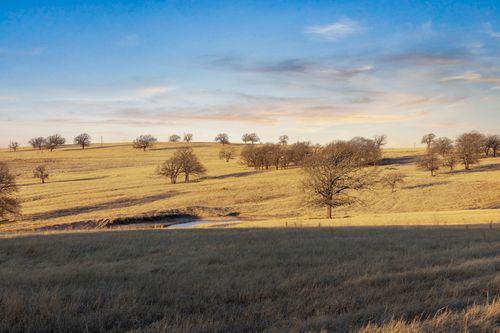 TBD Odom Rd, Nocona, TX, 76255 | Card Image