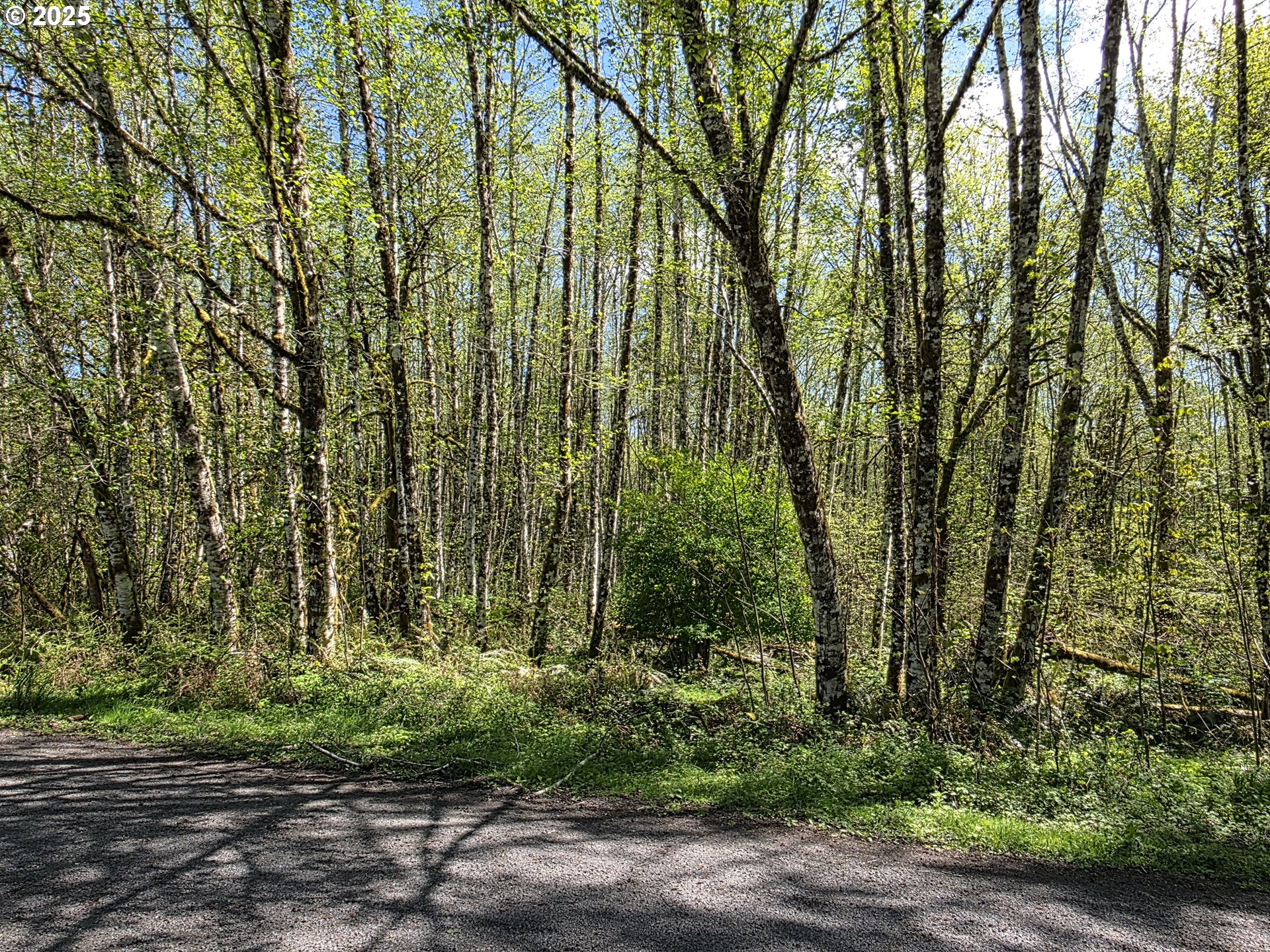 Land in Longview