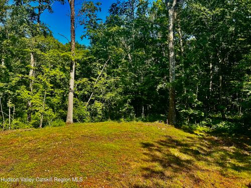 80 Forever Ivy Ln, Hyde Park, NY, 12538 | Card Image