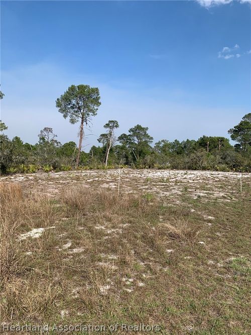 1249 Popinjay Avenue, Lake Placid, FL, 33852 | Card Image