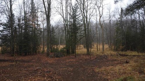 N10595 State Rd, Birnamwood, WI, 54414 | Card Image