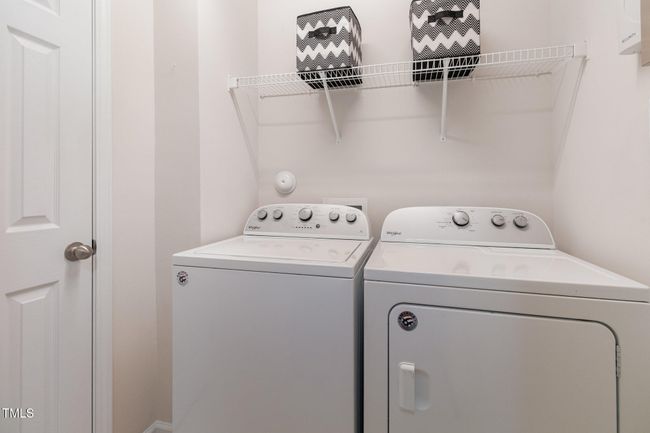 016_img_3281-edit_762 | Image 23