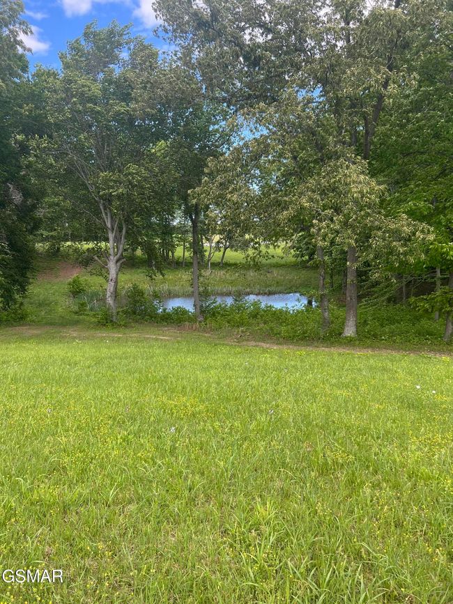 2526 Sunset Blvd, Home with 0 bedrooms, 0 bathrooms and null parking in White Pine TN | Image 18