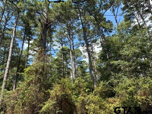 19317 N. State Highway 110, Troup, TX, 75789 | Card Image