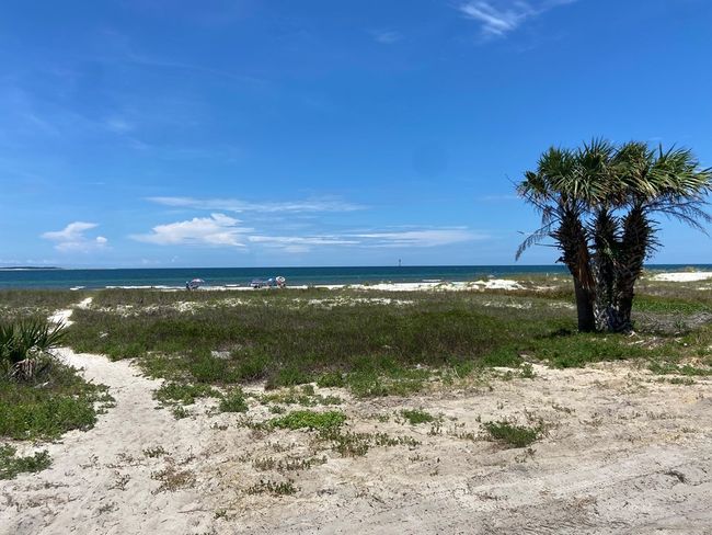 117 Atlantic St, Home with 0 bedrooms, 0 bathrooms and null parking in Port St. Joe FL | Image 12