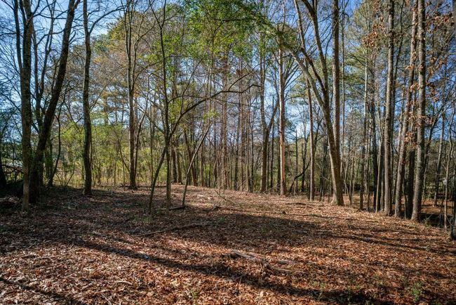 113 Ireland Ln, House other with 3 bedrooms, 2 bathrooms and null parking in CHICKAMAUGA GA | Image 33