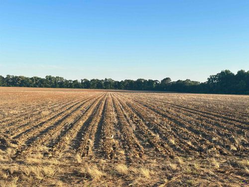 Lot# 4 Sw (6.17 Acres) Sewell Road, Elko, GA, 31025 | Card Image