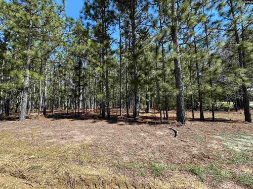 223 Mimosa Dr, Gaston, SC, 29053-8794 | Card Image