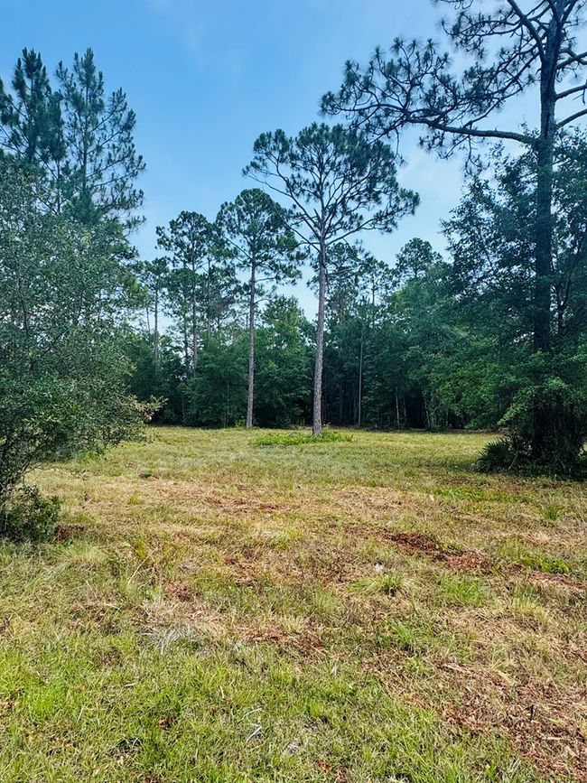 173 Skipper Rd, Home with 0 bedrooms, 0 bathrooms and null parking in Carrabelle FL | Image 5