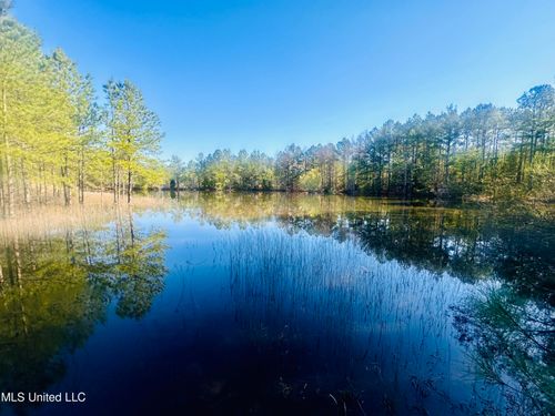 0 Little Rock Rd, Crystal Springs, MS, 39059 | Card Image