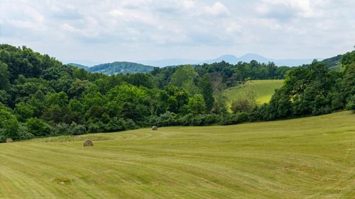 25 Koogler Trl, RAPHINE, VA, 24472-3018 | Card Image