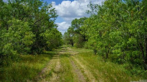 72+/- ACRES Cr. 215, Mccoy, TX, 78113 | Card Image