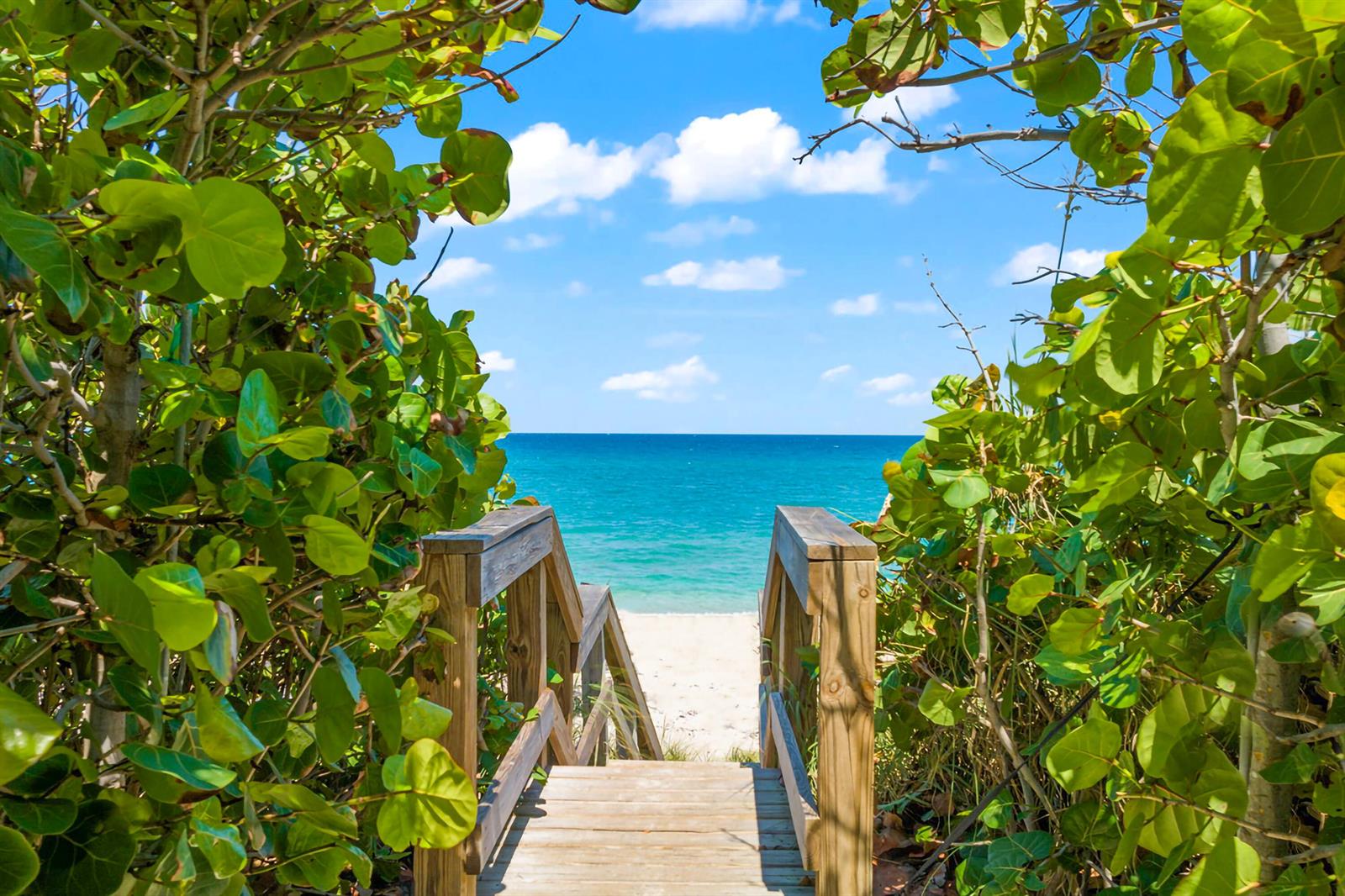Other in Ocean Ridge 5