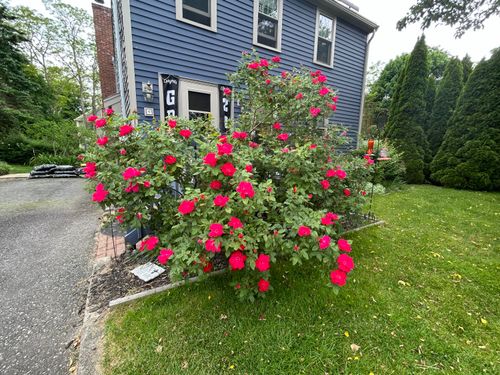 9 Bittersweet Road, East Falmouth, MA, 02536 | Card Image
