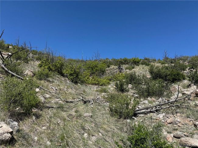 29 18 X, Home with 0 bedrooms, 0 bathrooms and null parking in Cotopaxi CO | Image 7