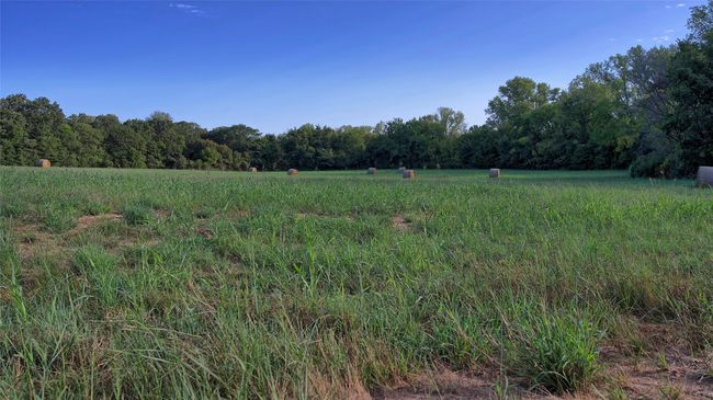 0 Deen Rd, Home with 0 bedrooms, 0 bathrooms and null parking in Bowie TX | Image 9