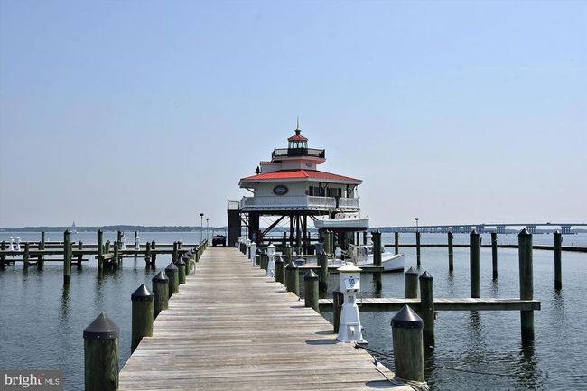 67 - 317 Shipyard Dr, Townhouse with 3 bedrooms, 4 bathrooms and null parking in CAMBRIDGE MD | Image 48