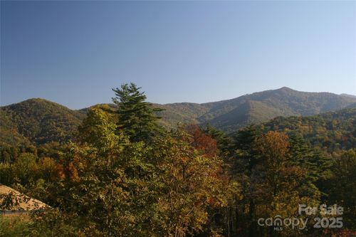 16-68 Wolfebridge Ln, Asheville, NC, 28804 | Card Image