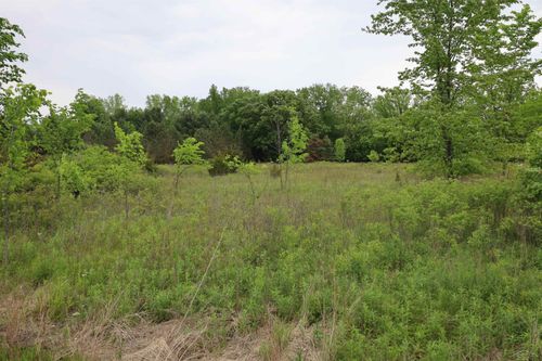 VL Beyer Road, Birch Run Township, MI, 48415 | Card Image