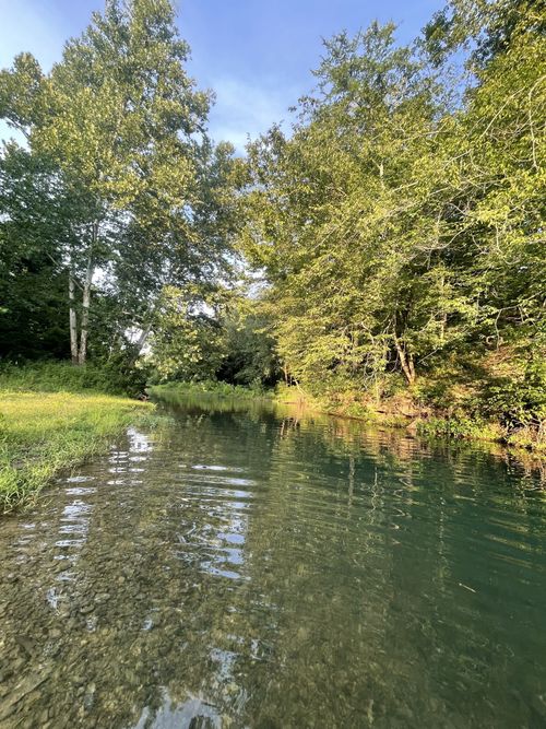 0 W Blue Creek Rd, Waverly, TN, 37185 | Card Image