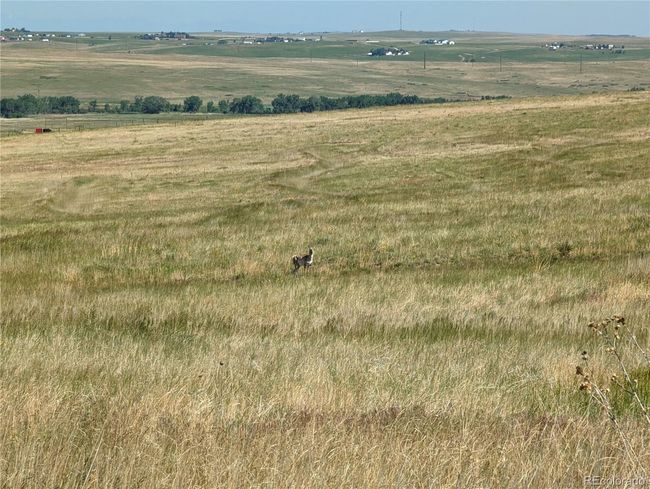 4 County Road 142, Home with 0 bedrooms, 0 bathrooms and null parking in Kiowa CO | Image 7