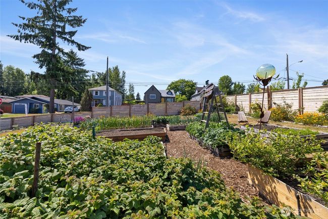 urban oasis | Image 19