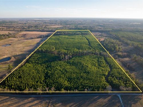 T-7 County Road 4415, Annona, TX, 75550 | Card Image