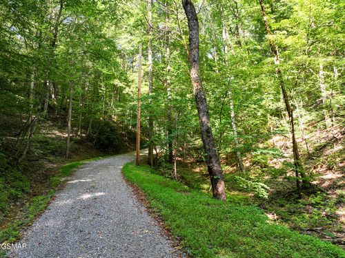 199 Tsali Way, Sevierville, TN, 37876 | Card Image