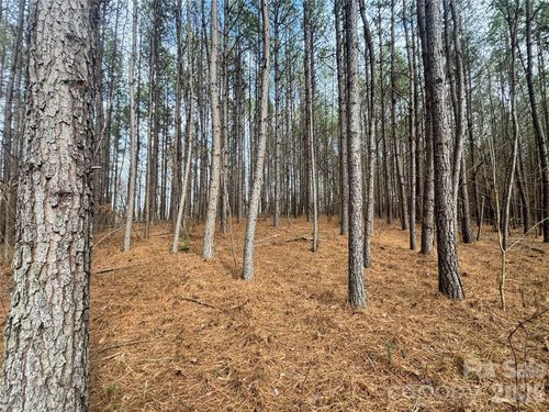 0 Hudlow Rd, Rutherfordton, NC, 28139 | Card Image