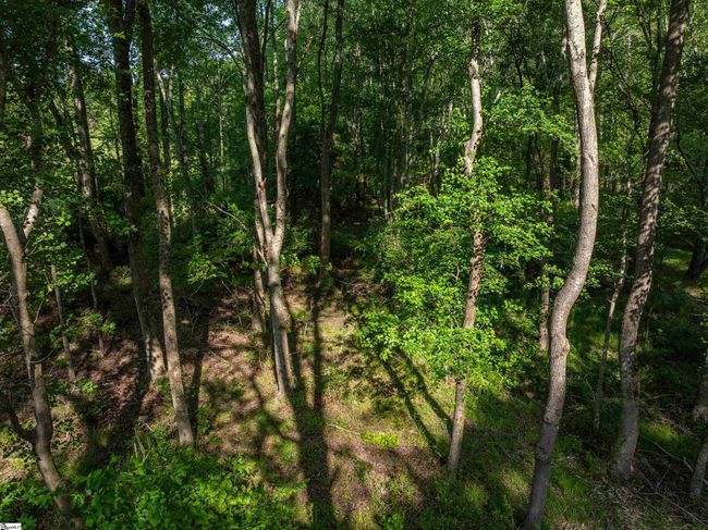 010 Holliday Dam Rd, Home with 0 bedrooms, 0 bathrooms and null parking in Honea Path SC | Image 17