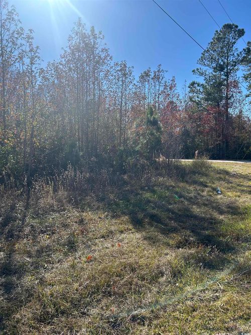 TBD Apple Valley Rd, Loris, SC, 29569 | Card Image