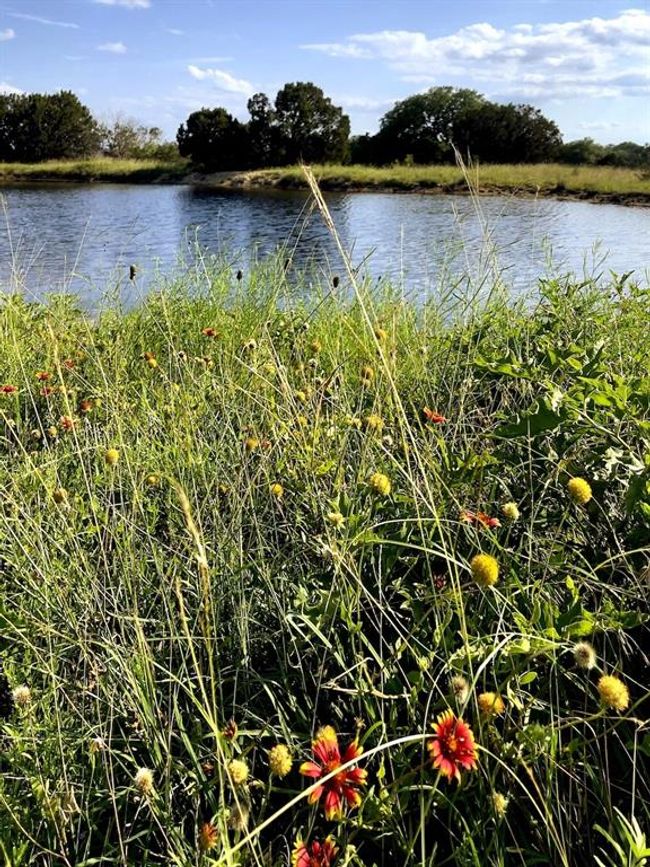 730 Us Highway 84 E, Home with 4 bedrooms, 2 bathrooms and 1 parking in Goldthwaite TX | Image 17