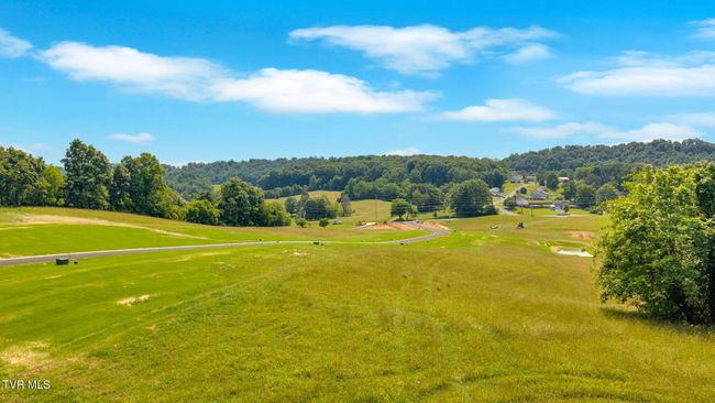 447 Tortoise Way, Home with 0 bedrooms, 0 bathrooms and null parking in Jonesborough TN | Image 4