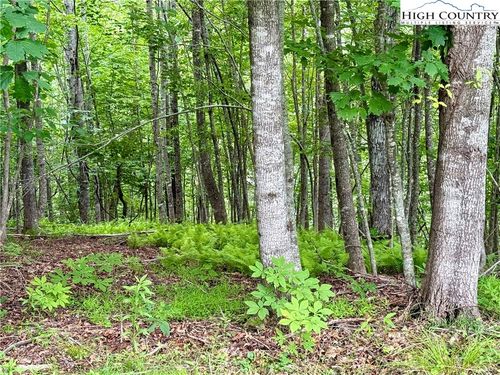 Lot 20 Twin Bridges Cir, Fleetwood, NC, 28626 | Card Image