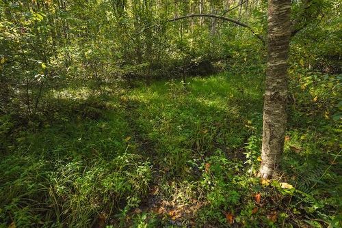 Lot 1 Twin Falls Rd, Copper Hill, VA, 24079 | Card Image