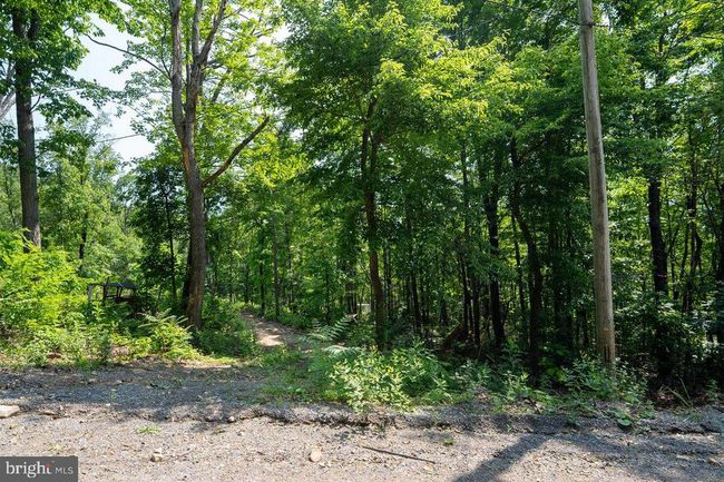 0 Hidden Rd, Home with 0 bedrooms, 0 bathrooms and null parking in LURAY VA | Image 4