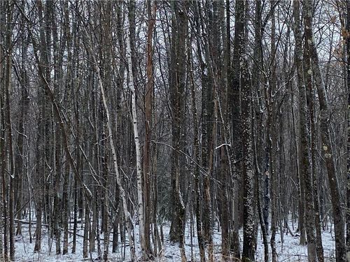 NEAR Lenawee Road, CLOVER, WI, 54844 | Card Image