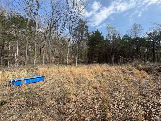 783 Nc 8400, House other with 2 bedrooms, 1 bathrooms and null parking in Jasper AR | Image 47