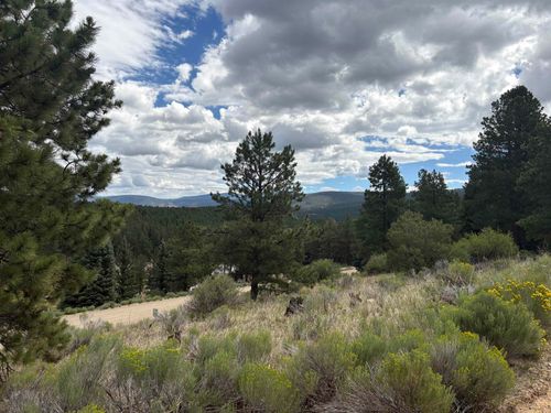 Lot 128 San Mateo Drive, Angel Fire, NM, 87710 | Card Image