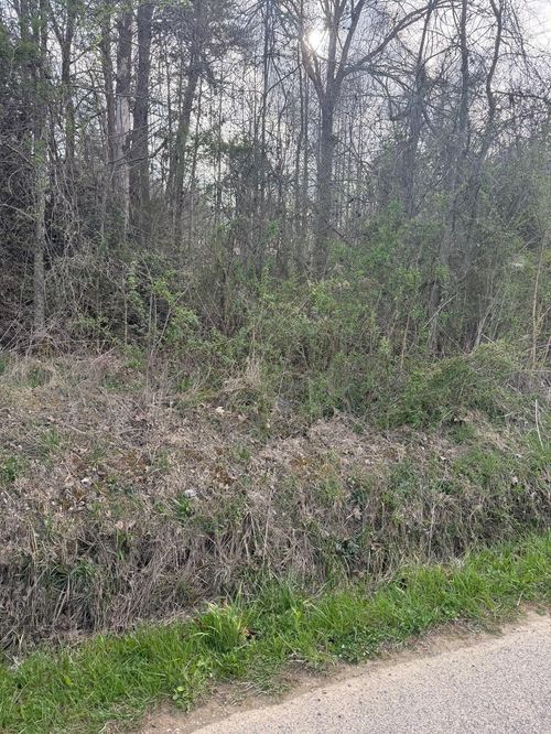 97.32 Griffith Road, Pikeville, TN, 37367 | Card Image