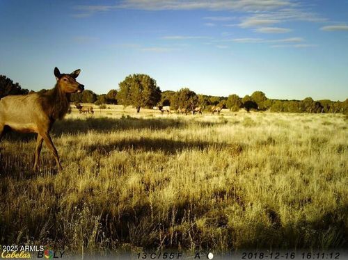 338-d-and-e-338 Ranch Rd, Williams, AZ, 86046 | Card Image