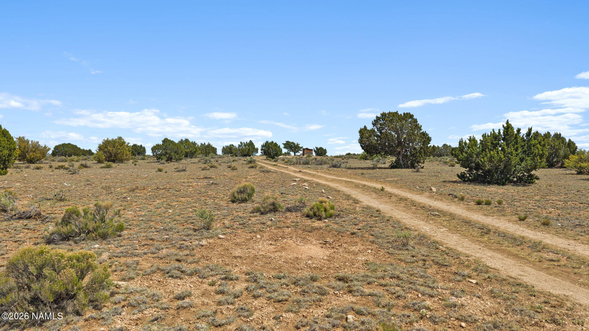 Land in Williams 4