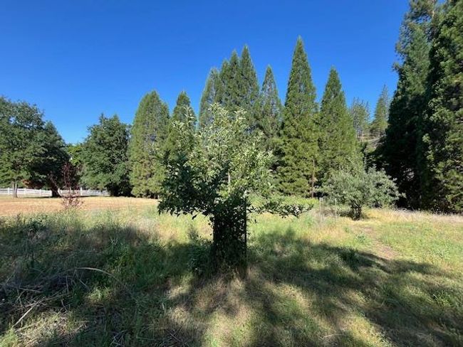 0 Crest View Dr, Home with 0 bedrooms, 0 bathrooms and null parking in Murphys CA | Image 27