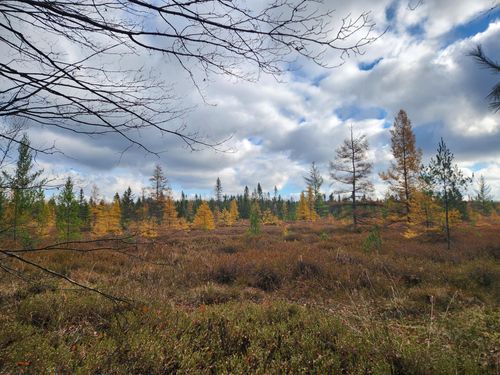 V/L Cadillac Drive, Lake, MI, 48632 | Card Image