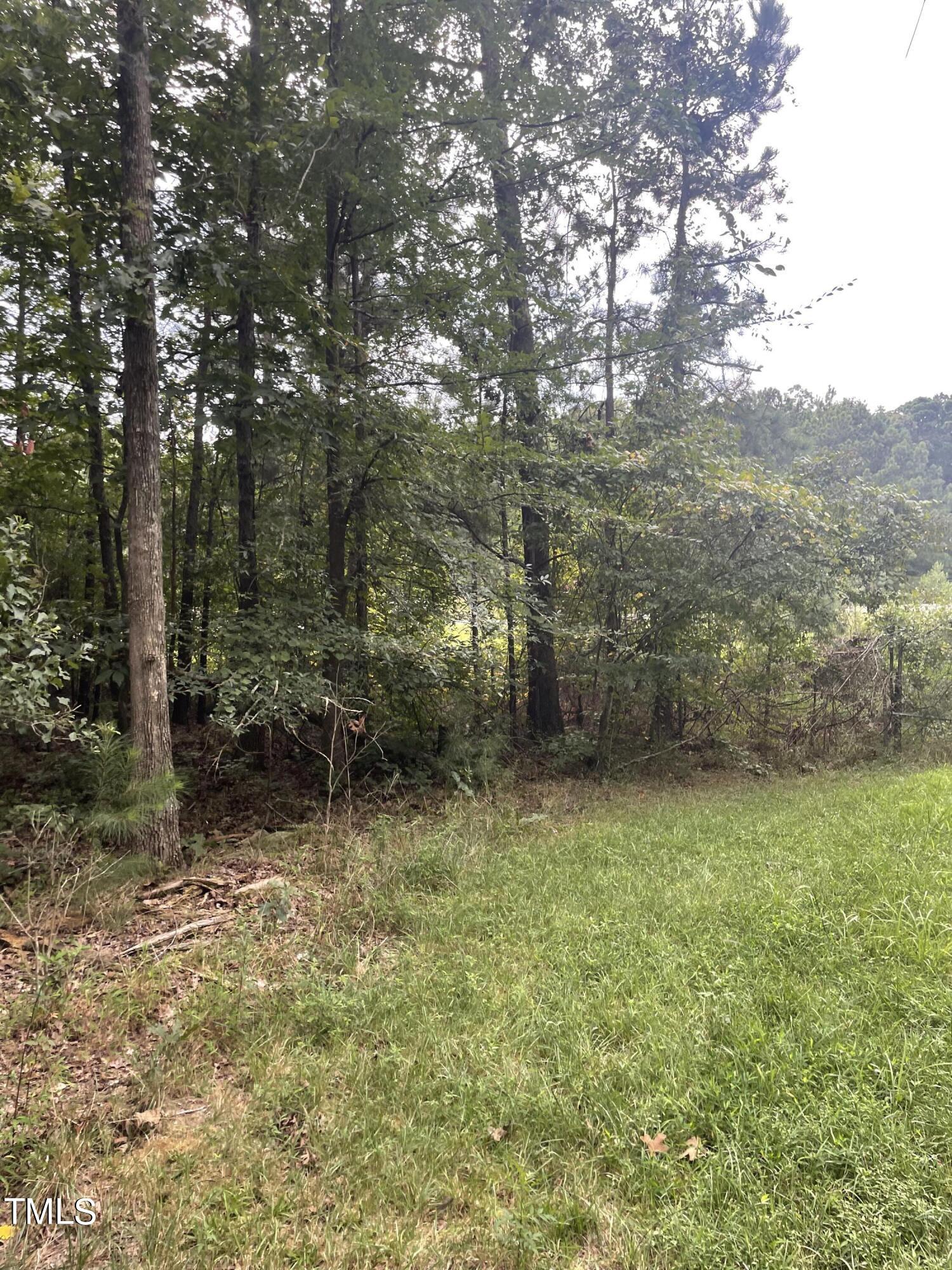 Land in Holly Springs 3