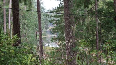 Collins Lake Left side of the property. | Image 1