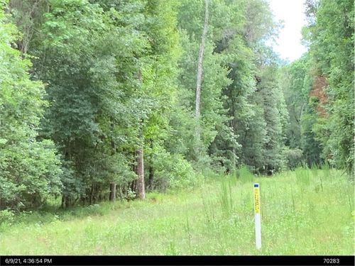 5701 Sw 127th Ave, MICANOPY, FL, 32667-3159 | Card Image