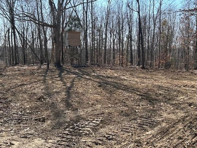 Lot 4 Oklahoma Rd, Home with 0 bedrooms, 0 bathrooms and null parking in Bee Spring KY | Image 12