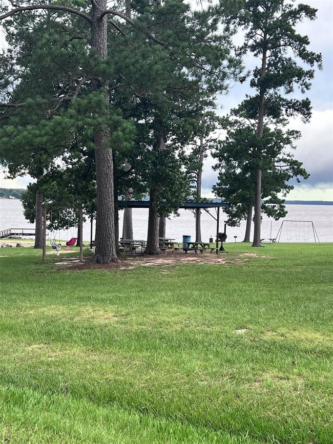 Picnicing time! | Image 18